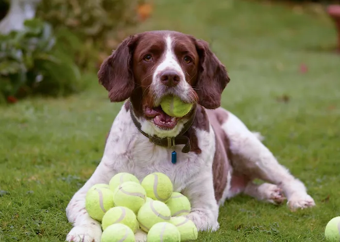 Fletcher Resort-hotel 4* Zutphen