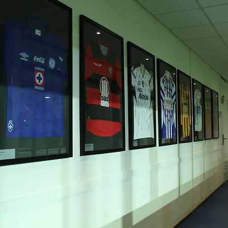 מלון Fletcher Resort-hotel 4*